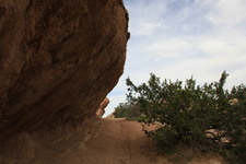 Enlarge photo 36
