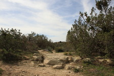 Enlarge photo 53