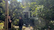 Enlarge photo 6