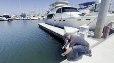 Mad Dog Marina