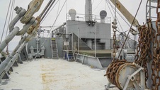 Enlarge photo 41