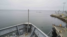 Enlarge photo 51
