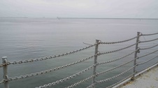 Enlarge photo 58
