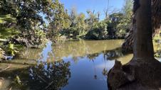 Enlarge photo 2