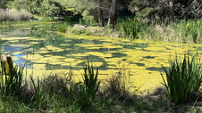 Enlarge photo 3