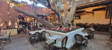 Enlarge photo 32
