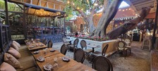 Enlarge photo 33