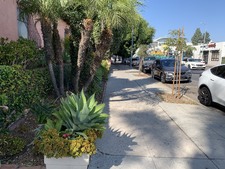Enlarge photo 41