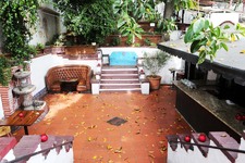 Enlarge photo 46