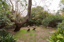 Enlarge photo 78