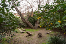 Enlarge photo 79