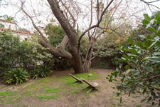 Enlarge photo 81