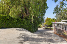 Enlarge photo 64