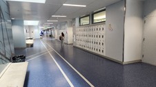 North Hollywood High School