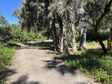 Enlarge photo 3