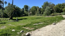 Enlarge photo 10