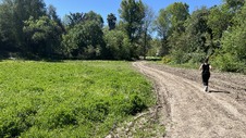 Enlarge photo 20