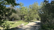 Enlarge photo 25
