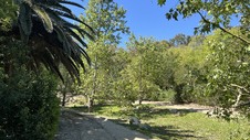 Enlarge photo 26