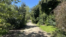Enlarge photo 27