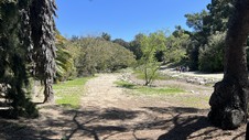 Enlarge photo 28