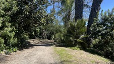 Enlarge photo 29