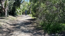 Enlarge photo 30