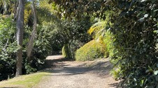 Enlarge photo 31