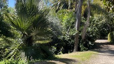 Enlarge photo 32