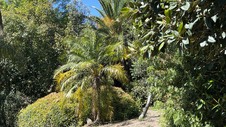 Enlarge photo 33