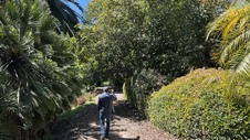 Enlarge photo 34