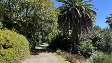 Enlarge photo 35