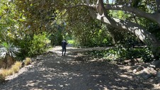 Enlarge photo 36