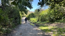 Enlarge photo 37