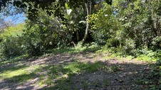 Enlarge photo 38