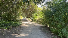 Enlarge photo 39