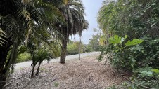 Enlarge photo 41
