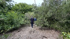 Enlarge photo 42