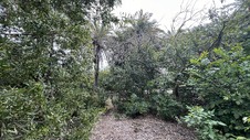Enlarge photo 43