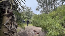 Enlarge photo 44