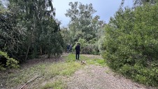 Enlarge photo 45