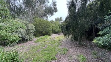 Enlarge photo 46