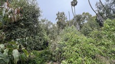 Enlarge photo 47