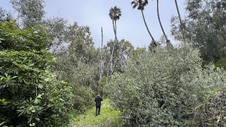Enlarge photo 48