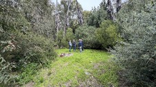 Enlarge photo 49