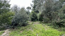 Enlarge photo 50