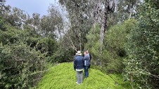 Enlarge photo 51