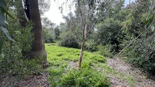 Enlarge photo 53