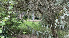 Enlarge photo 54