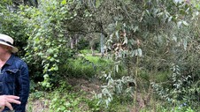 Enlarge photo 55